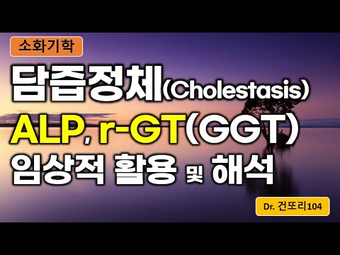 ALP와 r-GT(GGT) 임상적 활용: 담즙정체성(Cholestasis)질환의 감별 및 해석