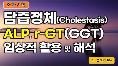 ALP와 r-GT(GGT) 임상적 활용: 담즙정체성(Cholestasis)질환의 감별 및 해석