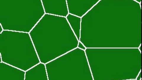 Grain growth simulation