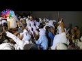 باغي الاعانة مع الفنان عبد النبي من قصر تيوريرين باغي الاعانة مع الفنان عبد النبي من قصر تيوريرين