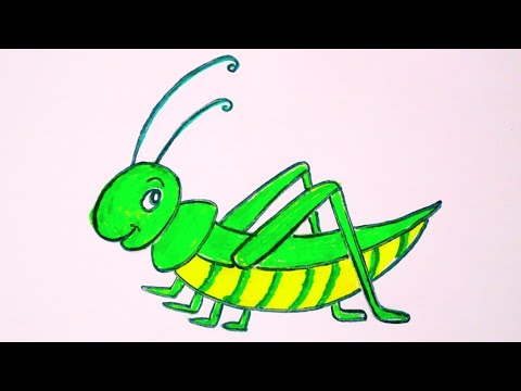 Grasshopper drawing/ Grasshopper cartoon drawing/ Easy grasshopper draw and  color - YouTube