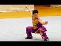 全日本武術太極拳2016 中国選手の模範演武がヤバイ tv2ne1