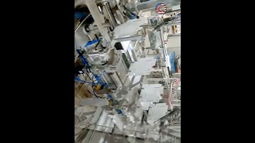 Carton box case sorting counting feeding automatic robot hand cartoning packing line
