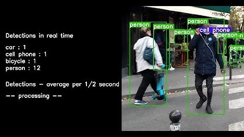 Real Time Crowd Counting, Avenue de la Republique Paris 11th arrondissement.