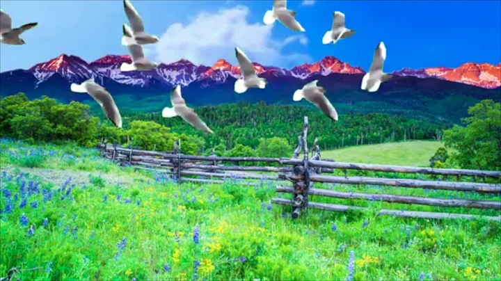 Ren Di Tian Tao He Yi ~Tao Song Blessing ~Barbara ...