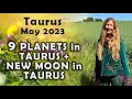 Taurus May 2023 9 PLANETS in TAURUS + NEW MOON in TAURUS (Astrology Horoscope Forecast)