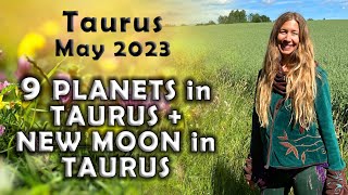 Taurus May 2023 9 PLANETS in TAURUS + NEW MOON in TAURUS (Astrology Horoscope Forecast)