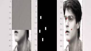Facial Feature Detection_Occlusion.avi