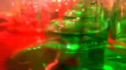 Ver Wackler: »Entscheidungsfreude« (2009)