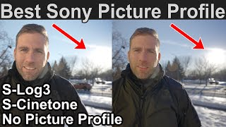 Best Sony Picture Profile: Slog 3 vs SCinetone vs No picture profile