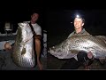 Worlds BIGGEST BARRAMUNDI