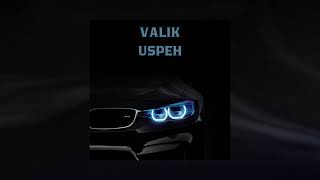 Valik-USPEH (Qonurstudio)