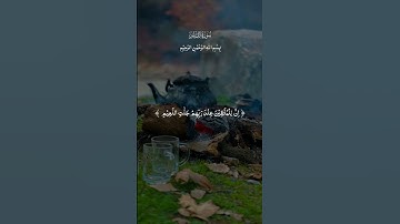 سورة القلم #القرآن_الكريم_راحة_نفسية
