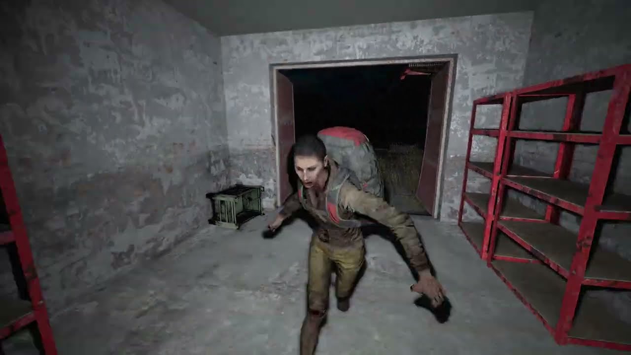 DayZ is a horror game at night...