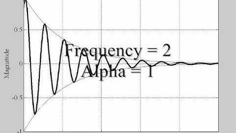 Waves in Lossy Media
