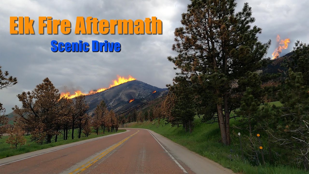 Scenic Drive Through Big Horn National Forest on US-14 | Witness the Recovery from the 2024 Elk Fire