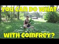 You Can Do What with Comfrey?