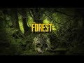 Twarde lądowanie - The Forest z Ekipą