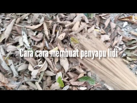 Video: Cara Menyediakan Penyapu Untuk Mandi