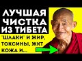 ВЫДАЮЩИЙСЯ РЕЦЕПТ ЧИСТКИ ОРГАНИЗМА из ТИБЕТА! Шлаки, токсины, жкт, похудение, чистка кожи