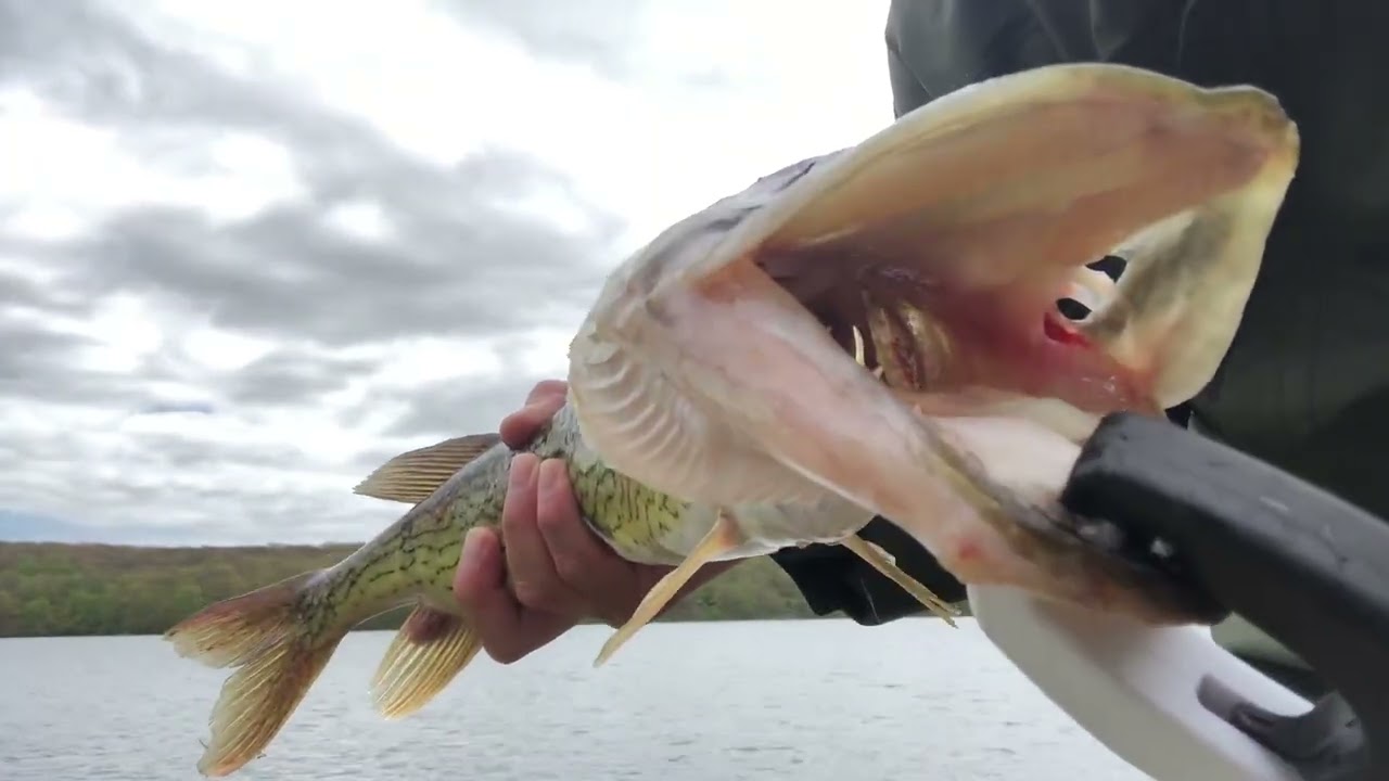 Bass Fishing Tiorati Lake 🎣 Surprise Chain Pickerel, May 2020