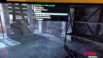 WaW Zombies Physics n Flex v3 Mod Menu