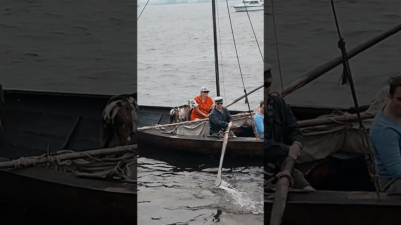 Goat on a boat! 🐐 + 🛶 = 🤣 