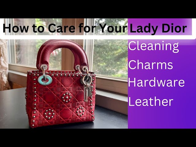 Lady Dior Care & Cleaning 