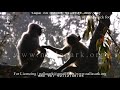 Langur Siblings playtime | wildlife | tiger | Stock footage