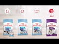 Royal Canin | Size Health Nutrition | Giant