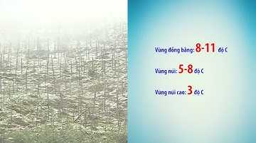 Không khí lạnh tăng cường mạnh, Bắc Bộ và Bắc Trung Bộ rét đậm, rét hại