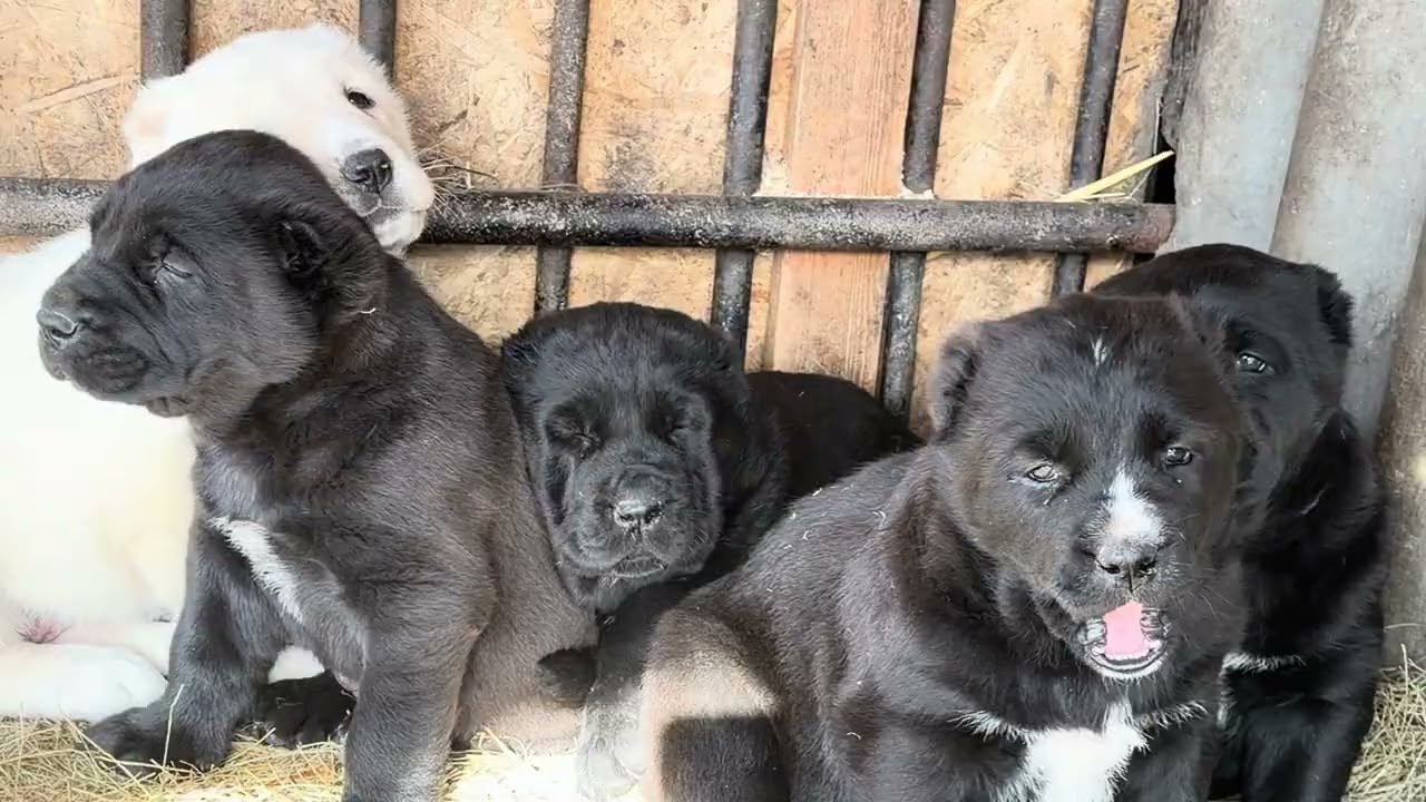 26 февраля 2026 г.