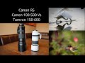 Canon R5. Comparison of Canon RF 100-500 vs Tamron 150-600 lens.