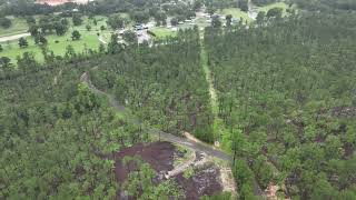 111 acres CR 257 Jasper Texas