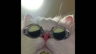 Download Lagu Messages From the Stars - Rah Band 🌌💌SPED UP TO PERFECTION 💫 THE BEST PART ONLY 💌🌌 MP3