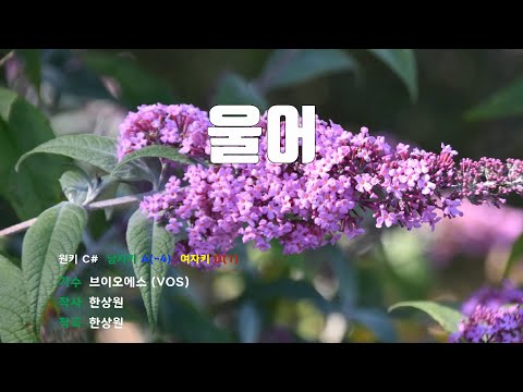 [은성반주기] 울어 - 브이오에스(VOS) /MR/가사