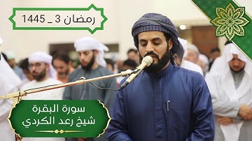 تلاوة من سورة البقرة | شيخ رعد الكردي | صلاة التراويح في مسجد أحمد الحباي 1445