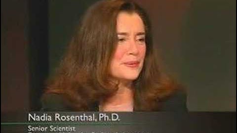 Adult Stem Cells and Regeneration Part 1 of 6