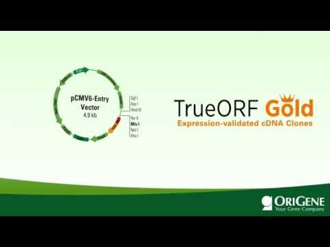 TrueORF GOLD: The Only Expression-validated CDNA Clones