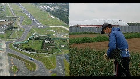 Từ chối 40 tỷ để di dời nhà. Ông nông dân Nhật Bản sống giữa sân bay | Go Vietnam ✔