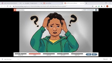 Unit 3 Lesson 14 Emotions Matter