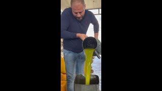 الخطوات الكاملة لصناعة زيت الزيتون ? - Full process of creating olive oil ?