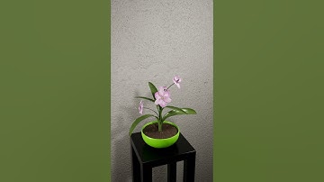 Flower growth animation in UE5