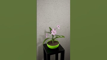 Flower growth animation in UE5