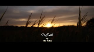 Spanish Guitar Music, Daffodil By Tahir Burhan