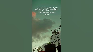 تتجافى جنوبهم عن المضاجع ❤️ بصوت القارئ إسلام صبحي 🎙️