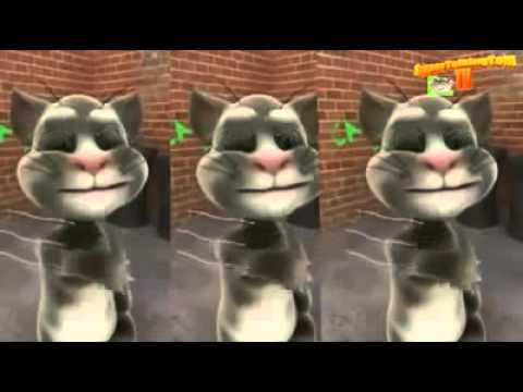 Entarisi Dım Dım Yar Konuşan Kedi Tom Versiyonu D
