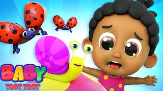Bugs Bugs Bugs Song | Insect Song | Nursery Rhymes and Kids Songs with Baby Toot Toot