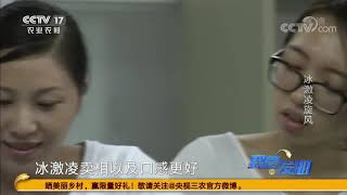 《我爱发明》 20200803 冰激凌旋风|CCTV农业