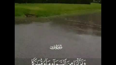 سورة ق بصوت القارئ ناصر بن يعقوب الذوادي